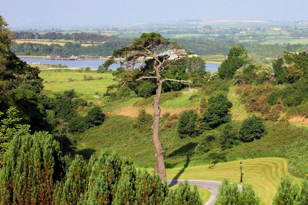 Brandon House Hotel New Ross Buitenkant foto